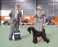 2. Terriers