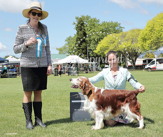 _AUP4050