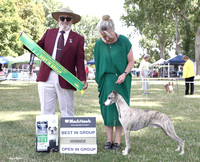 _HB12038