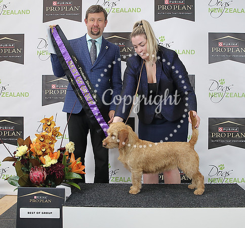 _A254118