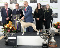 National IN Show