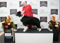 _A251615