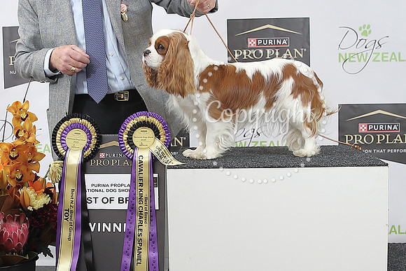 _A253312