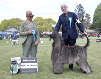 4. Hounds