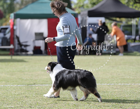 _AUR5743