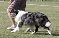 _AUR5792
