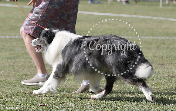 _AUR5792