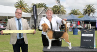 4. Hounds