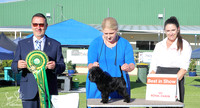Franklin Kennel Association