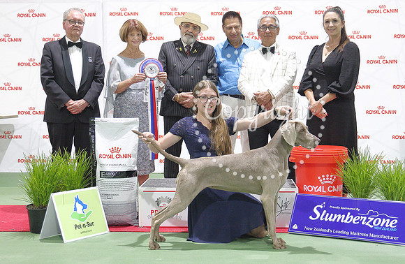 070A1617