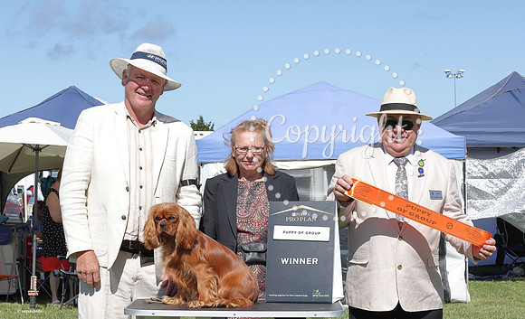 070A4278