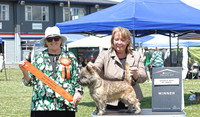 Tokoroa Canine Assn