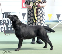 H3022321