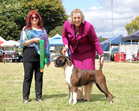 In Show and Group Awards