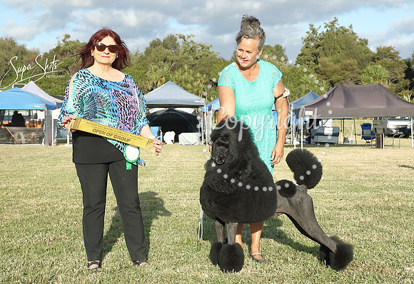 _BB04963