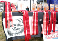 The Pomeranian Club