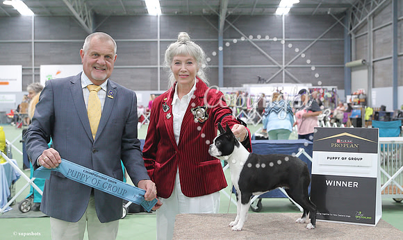 _BB05593