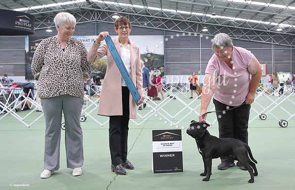 _BB05525
