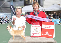 _BB07398