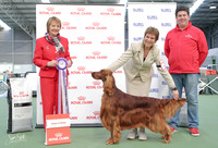 Kumeu Kennel Association