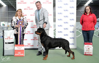 In Show Awards