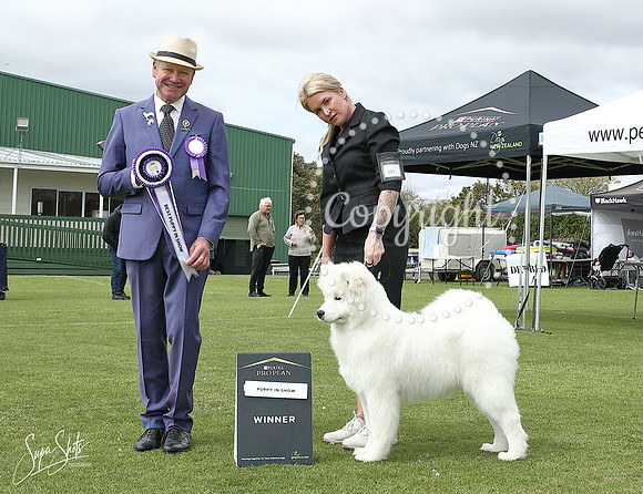 _BB08057
