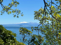 Taupo