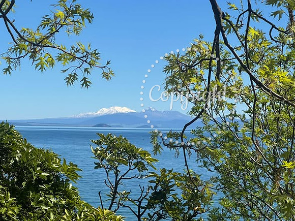Taupo