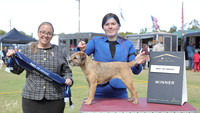 2. Terriers