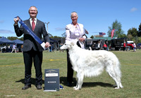 4. Hounds