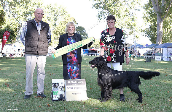 _HB11206