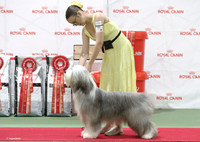 _OTY9460