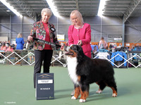 H5016576
