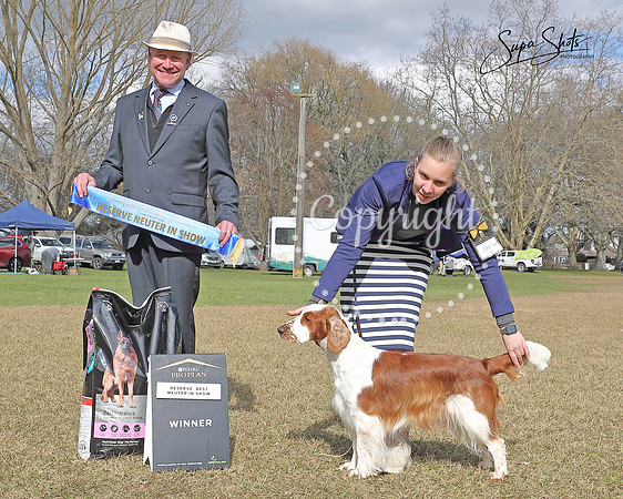 H3077660