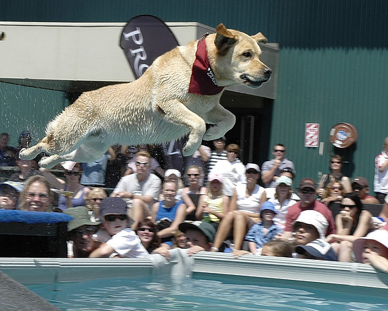 Splash-DJ #1