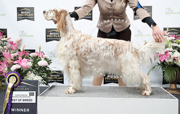H3082812a