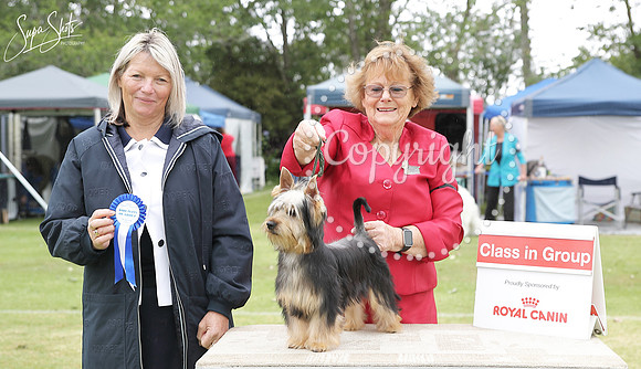 _AUP4205