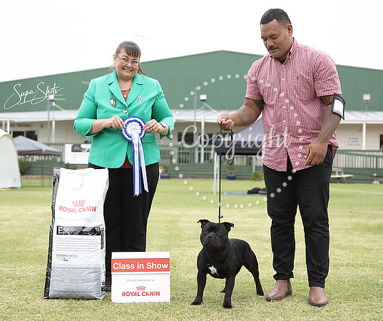 _AUP4910