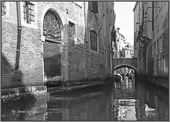 L Shirley Rolfe Venicescape