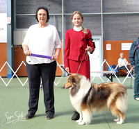 5. Working Dogs