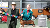 4. Hounds