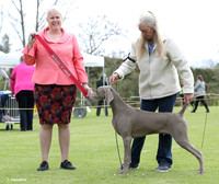 H5012362