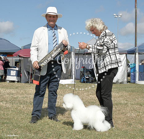 _K120696