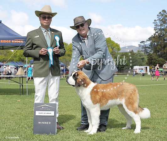 _AUP3706