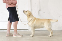 _EC10360