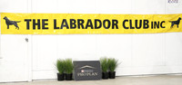 The Labrador Club