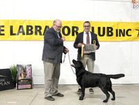 _EC11002