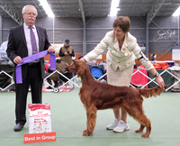 3. Gundogs