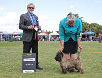 2. Terriers